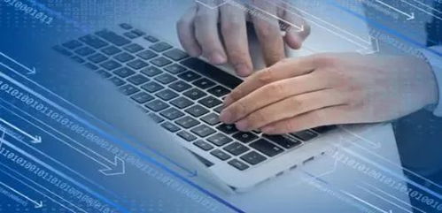 Java與網(wǎng)絡(luò)安全 從零基礎(chǔ)入門(mén)到精通，就業(yè)前景全面解析